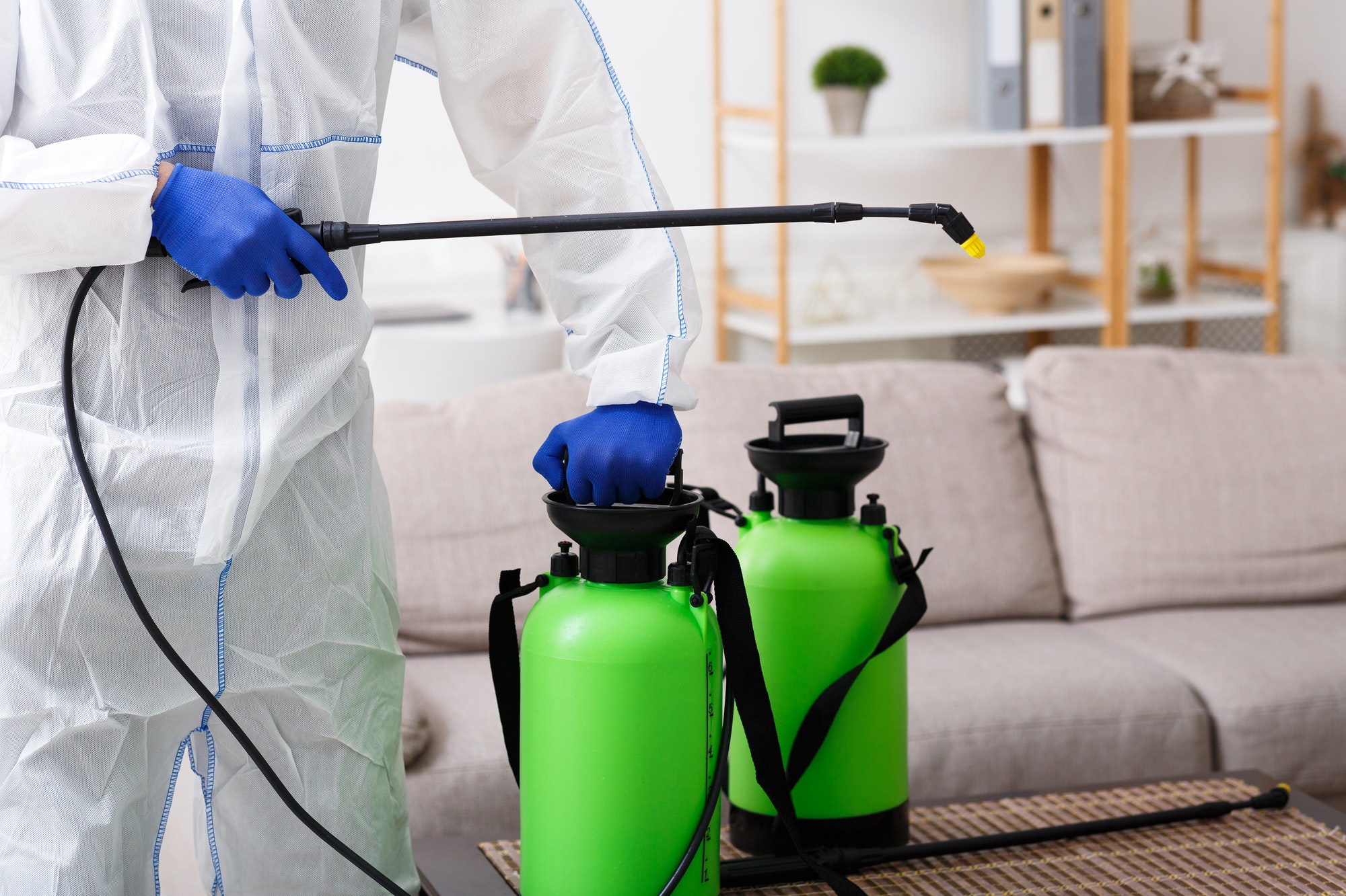 unrecognizable-person-disinfecting-home-sofa-with-cleaning-spray.jpg